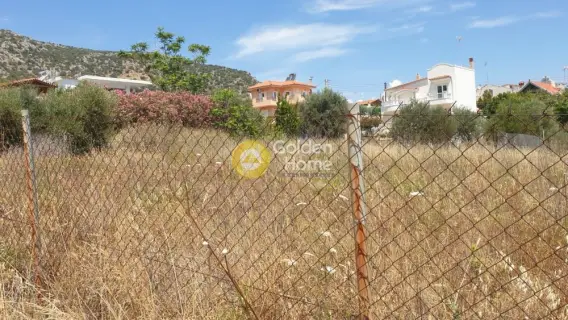 Οικιστικό 543τ.μ. προς πώληση φωτογραφία 10