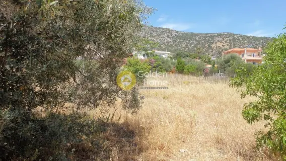 Οικιστικό 543τ.μ. προς πώληση φωτογραφία 15