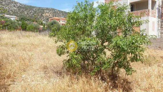 Οικιστικό 543τ.μ. προς πώληση φωτογραφία 16