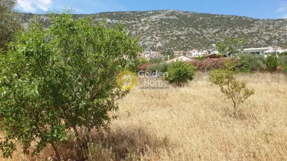 Οικιστικό 543τ.μ. προς πώληση φωτογραφία 18