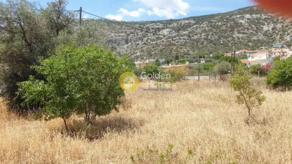 Οικιστικό 543τ.μ. προς πώληση φωτογραφία 19