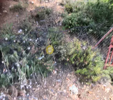 Οικιστικό 1050τ.μ. προς πώληση φωτογραφία 2702463