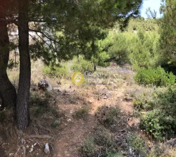 Οικιστικό 1050τ.μ. προς πώληση φωτογραφία 2702464