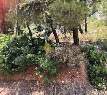 Οικιστικό 1250τ.μ. προς πώληση φωτογραφία 2702468