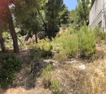 Οικιστικό 1250τ.μ. προς πώληση φωτογραφία 2702470