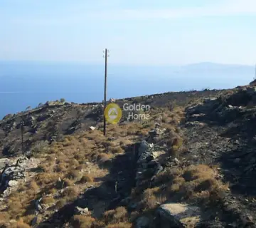Parcel 6200m<sup>2</sup> for sale photo 7