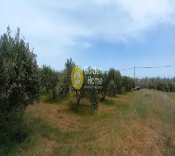 住宅 4500m<sup>2</sup> for sale photo 8