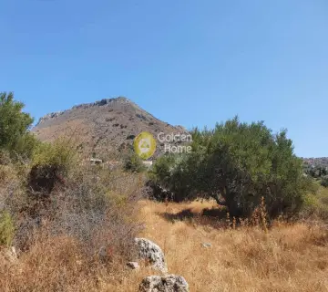 Residential 2356m<sup>2</sup> for sale photo 2896151