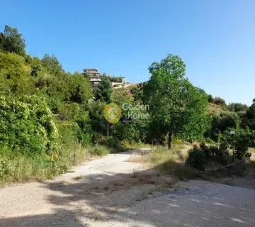 Residential 1616m<sup>2</sup> for sale photo 2685670