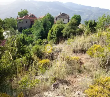 Residential 1616m<sup>2</sup> for sale photo 2685673