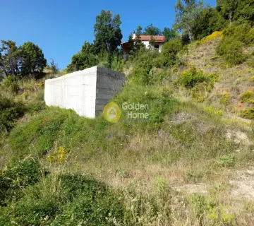 Residential 1616m<sup>2</sup> for sale photo 2685665