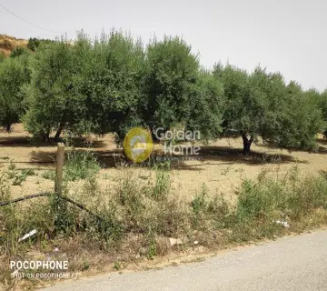 Area 2700m<sup>2</sup> for sale photo 2678015