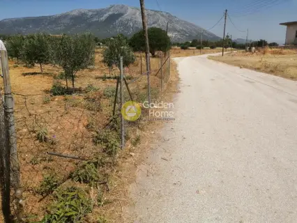 Parcel 1459m<sup>2</sup> for sale photo 1