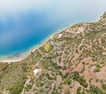 Residential 24000m<sup>2</sup> for sale photo 2