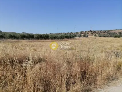 Residential 2600m<sup>2</sup> for sale photo 2
