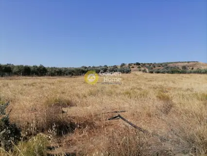 Residential 2600m<sup>2</sup> for sale photo 8
