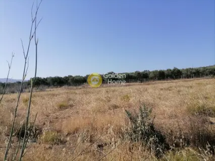 Residential 2600m<sup>2</sup> for sale photo 10