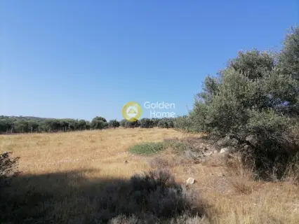 Residential 2600m<sup>2</sup> for sale photo 12