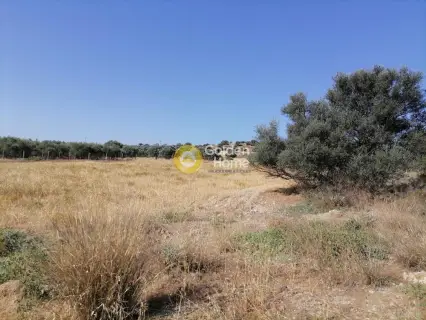 Residential 2600m<sup>2</sup> for sale photo 13