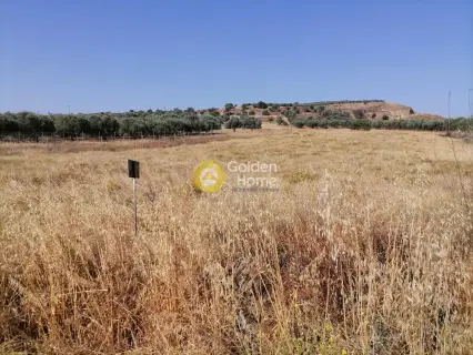 Residential 2600m<sup>2</sup> for sale photo 16