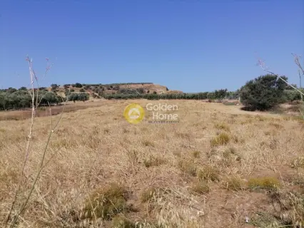 Residential 2600m<sup>2</sup> for sale photo 17