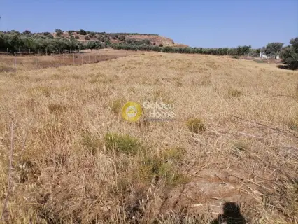 Residential 2600m<sup>2</sup> for sale photo 21