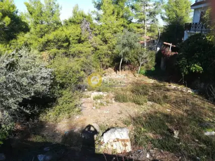 Residential 600m<sup>2</sup> for sale photo 5