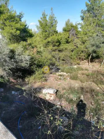 Residential 600m<sup>2</sup> for sale photo 6