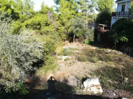 Residential 600m<sup>2</sup> for sale photo 8