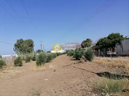 Residential 2200m<sup>2</sup> for sale photo 3
