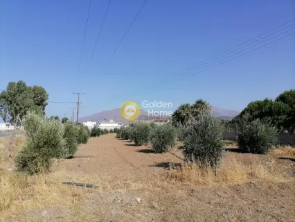 Residential 2200m<sup>2</sup> for sale photo 4