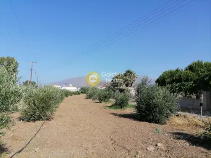 Residential 2200m<sup>2</sup> for sale photo 5