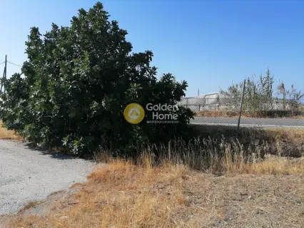 Residential 2200m<sup>2</sup> for sale photo 6