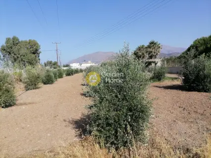 Residential 2200m<sup>2</sup> for sale photo 8