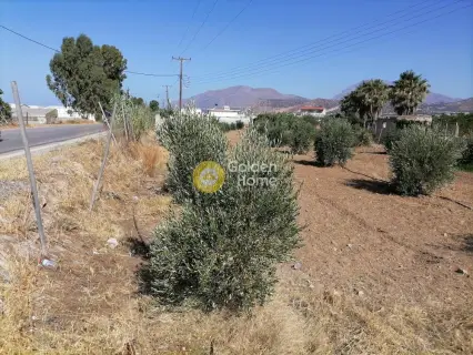 Residential 2200m<sup>2</sup> for sale photo 12