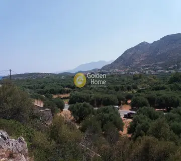 Οικιστικό 4300τ.μ. προς πώληση φωτογραφία 1