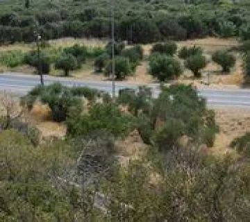 Οικιστικό 4300τ.μ. προς πώληση φωτογραφία 2761792