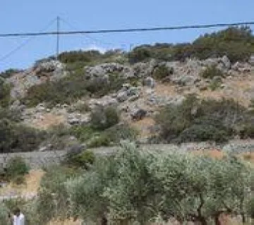 Οικιστικό 4300τ.μ. προς πώληση φωτογραφία 2761795