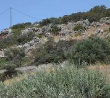 Οικιστικό 4300τ.μ. προς πώληση φωτογραφία 2761797