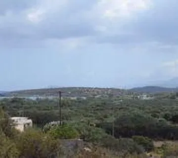 Οικιστικό 4300τ.μ. προς πώληση φωτογραφία 2761799