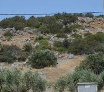 Οικιστικό 4300τ.μ. προς πώληση φωτογραφία 2761802