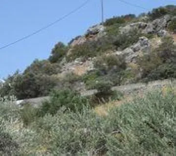 Οικιστικό 4300τ.μ. προς πώληση φωτογραφία 2761803