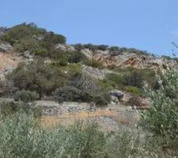 Οικιστικό 4300τ.μ. προς πώληση φωτογραφία 2761808