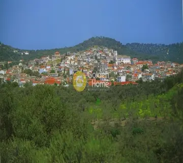 Golden Home Property Image