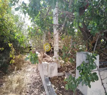 Μονοκατοικία 170τ.μ. προς πώληση φωτογραφία 2686543