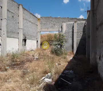Βιομηχανικός - Βιοτεχνικός Χώρος 1324τ.μ. προς πώληση φωτογραφία 17
