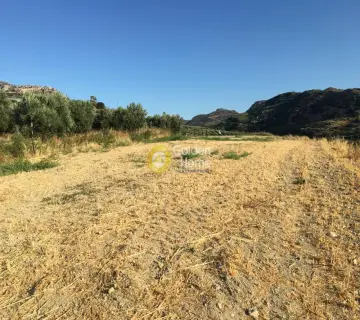 Residential 7350m<sup>2</sup> for sale photo 6