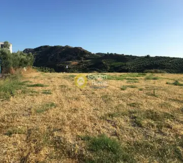 Residential 7350m<sup>2</sup> for sale photo 2
