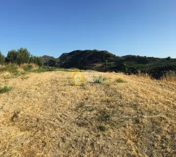 Residential 7350m<sup>2</sup> for sale photo 22