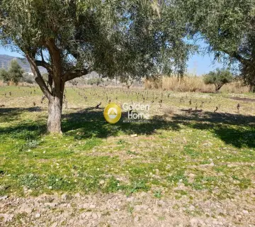 Professional Plot 1500m<sup>2</sup> for sale photo 1